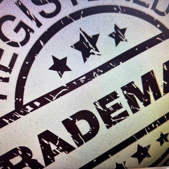 ANUSCHKA INDIA-NWT $218.00 NOW ! $139.00 MASTERPIECE PAINTING TOOK 8 WEEKS - Picture 2 of 16